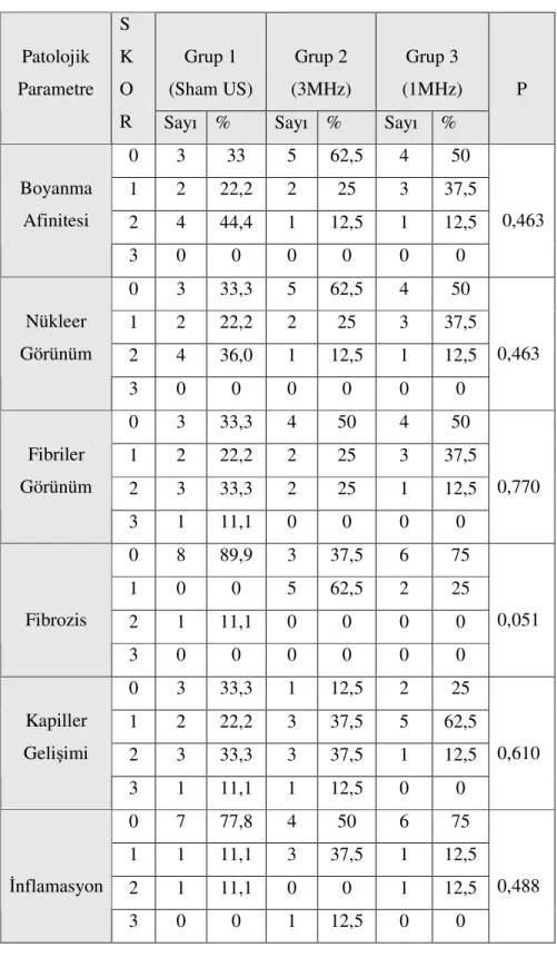 Tablo 11: Tüm histopatolojik parametrelerin gruplara göre semikuantitatif skalaya  göre değerlendirildikleri skor ve bu skor başına düşen tendon sayısı ve yüzdesi 