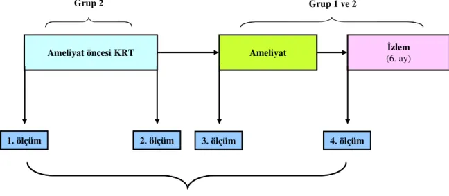Şekil 6. Çalışma planı. 