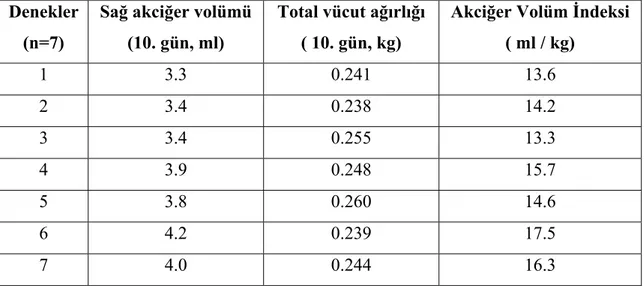 Tablo 3: B grubunda deney bitiş anındaki deneklere ait akciğer volüm indeksleri. 