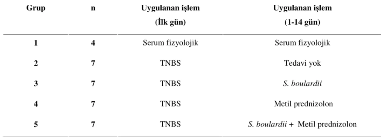 Tablo .14 Hastalık Aktivite İndeksi  
