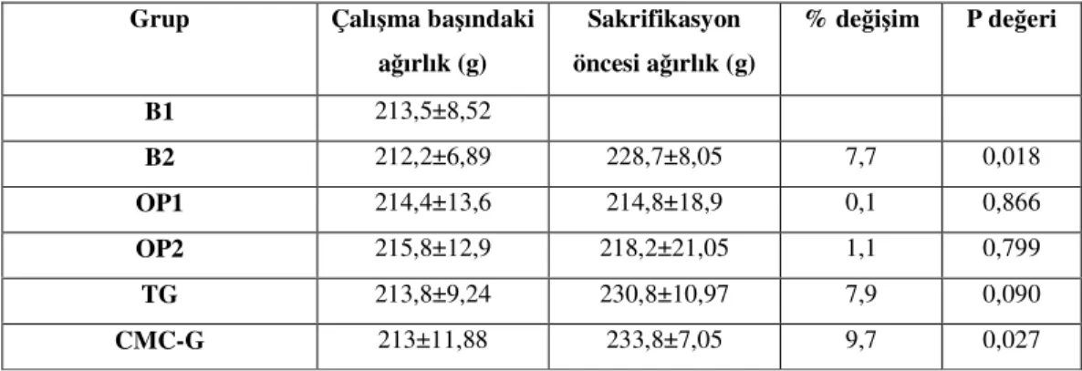 Tablo 6.Grupların çalışma başındaki  ve sonundaki vücut ağırlıkları .