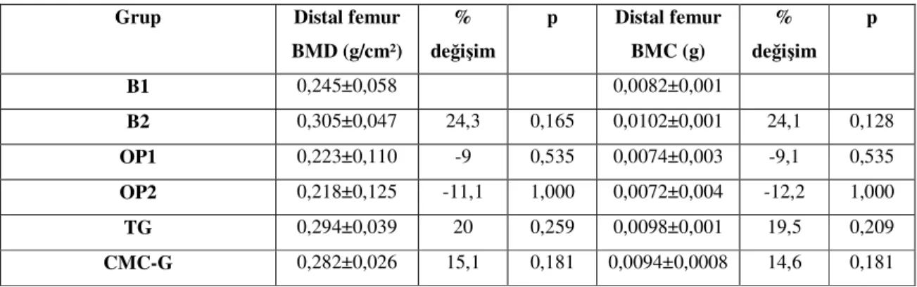 Tablo 10. Distal femur  BMD ve BMC değerlerinin farklı gruplar arasındaki karşılaştırması