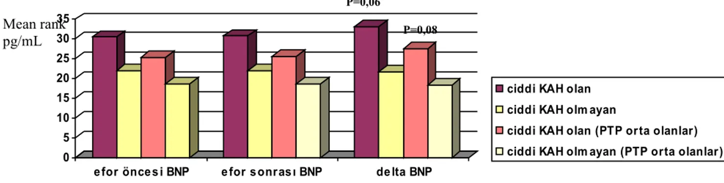 Tablo VII. PTP orta olanlarda BNP değerleri PTP orta 