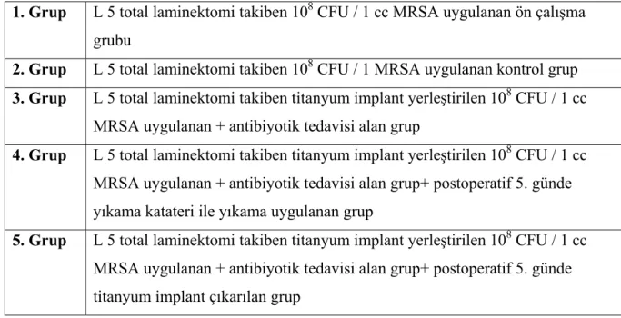 Tablo 5: Çalışma Gruplarının sınıflandırılması 