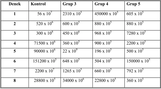 Tablo 8 :  Bakteri inoküle edilen grupların tedavileri sonrası doku örneklerinde bakteri 