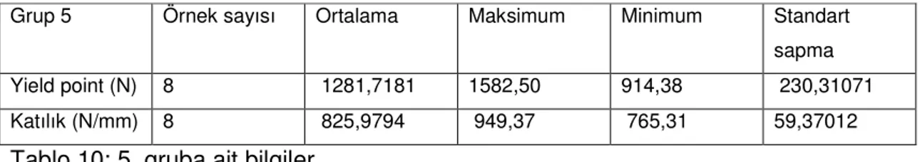 Tablo 10: 5. gruba ait bilgiler 