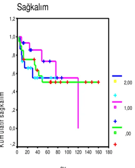 Grafik  5:  CD3  (+)  lik  oranı  ile  sağkalım  arasındaki  ilişkiyi  göstern  Kaplan  Meier 