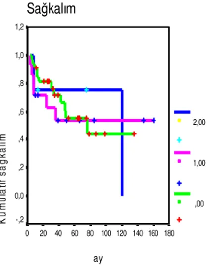 Grafik 8: Ki-67 ekspresyon yoğunluğu ile sağkalım arasındaki ilişkiyi gösteren Kaplan 