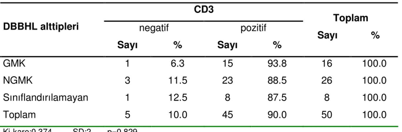 Tablo 9:DBBHL alttiplerinde CD3 ekspresyonu  CD3  negatif  pozitif DBBHL alttipleri  Sayı  %  Sayı  %  Toplam      Sayı            %             GMK  1  6.3  15  93.8  16  100.0  NGMK  3  11.5  23  88.5  26  100.0  Sınıflandırılamayan  1  12.5  8  87.5  8 