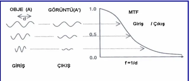 Şekil 1. MTF’yi tanımlayan grafik  