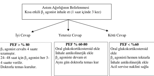 Şekil 5. Astım Atağının Evdeki Tedavisi 