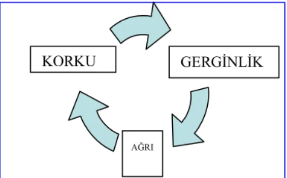 Şekil 1. Doğumda Korku, Ağrı ve Gerginlik Döngüsü 