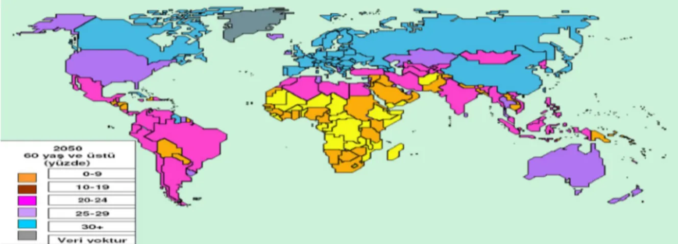 Şekil 1. Dünya Yaşlanma Haritası (BM, 2006) 