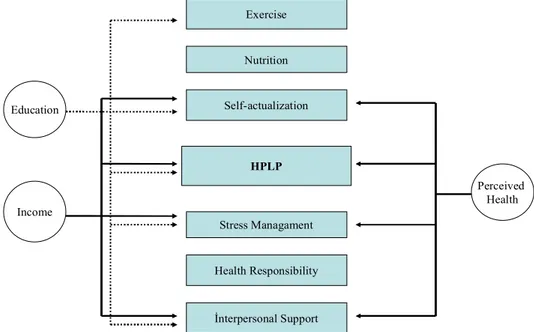 Figure 2. The Relation between Health Promoting Lifestyle Behaviours and Socio-demographics of Non-migrant Women 