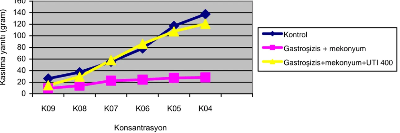 Grafik 3.          Gastroşizis + mekonyum, kontrol ve ÜTİ 400 gruplarında asetilkolinin artan konsantrasyonuna karşı gösterilen doz  yanıt eğrilerinin karşılaştırılması (Konsantrasyonlar 10 üzeri “eksi” değerlerdir) 