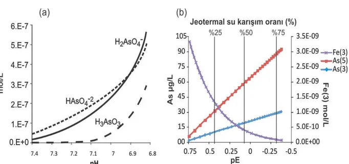 Şekil 6. Gediz Ilıca jeotermal alanında karekteristik bir jeotermal suyun (ΣAs=0,156 mg/L) (a) içme  suyu olarak kullanılan yeraltısularına (As=0,026 mg/L) ve (b) Derbent Deresi’ne (As=0,0085 mg/L) 