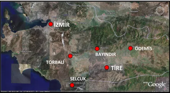 Şekil 2. Tire kentinin bölge içindeki konumu, Kaynak: Googleearth, (Aralık 2006) 