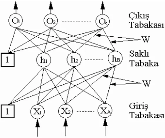 Şekil 3. Geri yayılmalı yapay sinir ağın genel yapısı 
