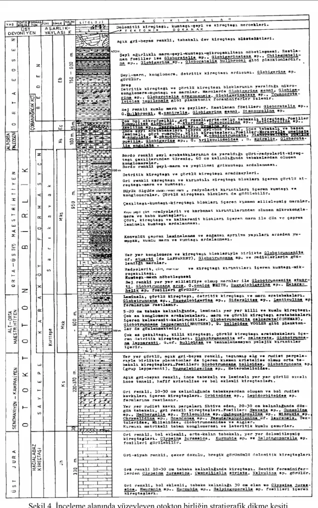 Şekil 4. İnceleme alanında yüzeyleyen otokton birliğin stratigrafik dikme kesiti 