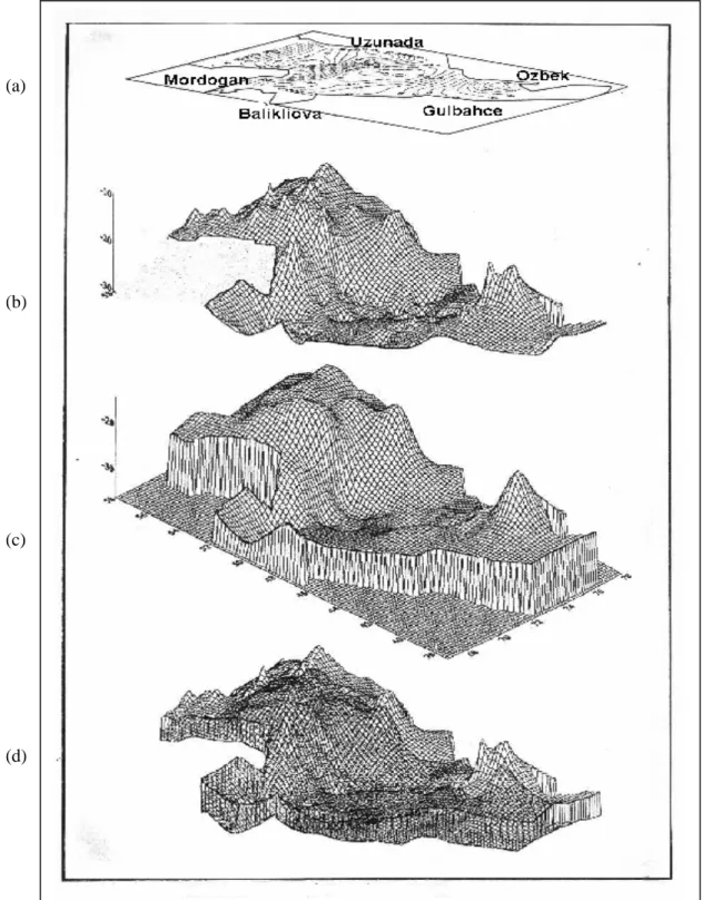 Şekil 9.Çalışma bölgesi batimetrisi ve stratigrafik yapısı, (a)Batimetri, (b)Holosen yüzey,  (c)Neojen yüzey, (d) Kuaterner sediment paketi 