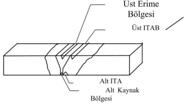 Şekil 2. Örneklere çentik açılan bölgeler 