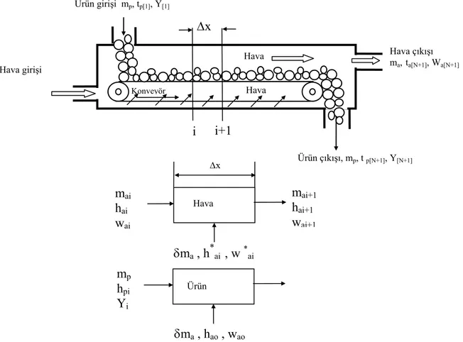 Şekil 5. Çapraz akımlı sürekli kurutucuya ait şematik diyagram (Clements vd., 1990)  2.2.1