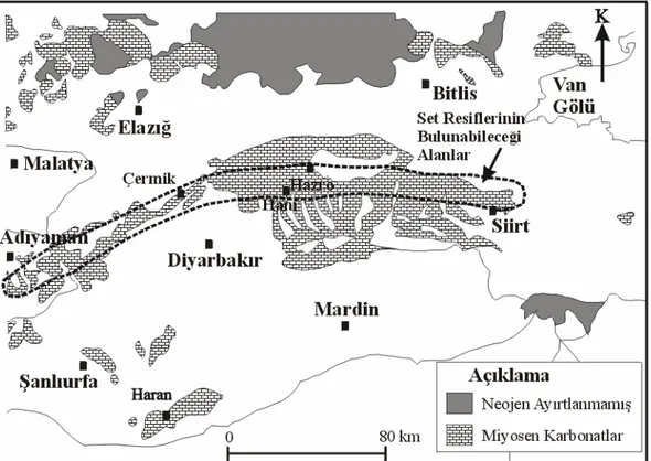 Şekil 11. Güneydoğu miyosen mostraları ve set resiflerinin bulunması beklenen umutlu alanlar  gösterilmiştir