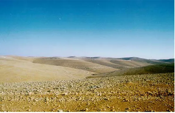 Şekil 12. Harran yöresindeki set gerisi fasiyesinde çökelmiş killi ve kırıntılı miyosen kireçtaşları;  birimler deformasyon geçirmemiştir ve yatay tabakalanma sunar 