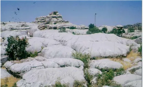 Şekil 6. Topak mermer ocağı doğu uzantısı. Altta masif kireçtaşları, üstte yamaç fasiyesi  çakıltaşları (Sivri Tepe) görülmektedir
