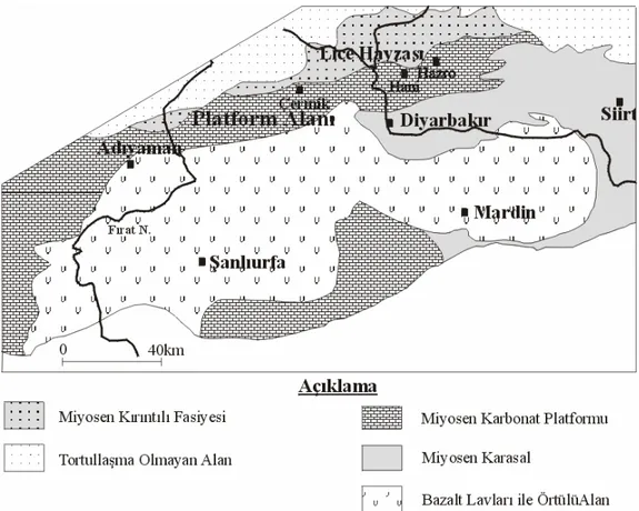 Şekil 10. Güneydoğu Anadolu’nun miyosen paleocoğrafik haritası; Lice havzasının yeri ve  güneyindeki Miyosen karbonat platform alanları gösterilmiştir (Görür, 1998)  
