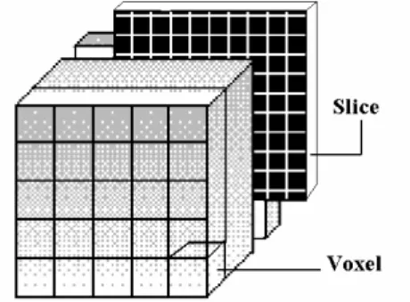 Şekil 2. Üç boyutlu MRI ve CT veri formatı  