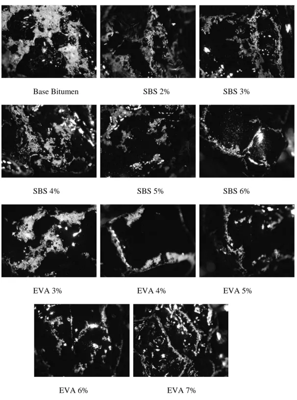 Figure 2. Limestone aggregate samples captured by Stereo microscope 