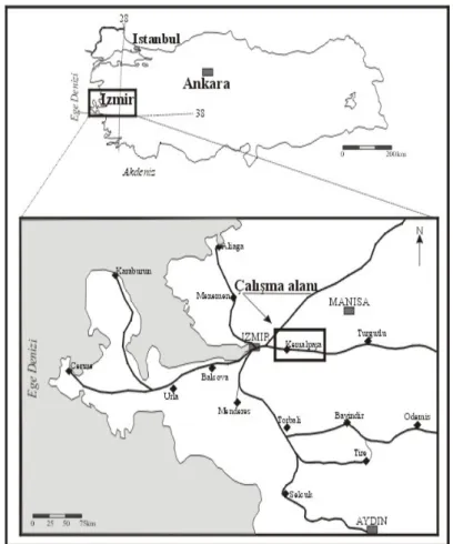 Şekil 1. Çalışma alanına ait yer bulduru haritası 