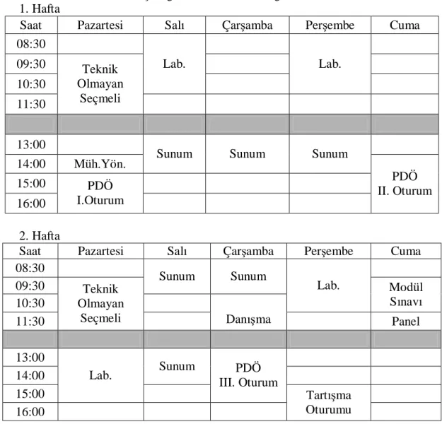 Çizelge 1. Örnek Modül Programı  1. Hafta  