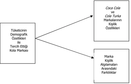 Şekil 1: Araştırma Modeli Tüketicinin Demografik Özellikleri ile Tercih Ettiği Kola Markası 