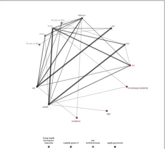 Şekil 4. Web Grafiği yönteminde birlikte görülen değişkenlerin gösterimi 