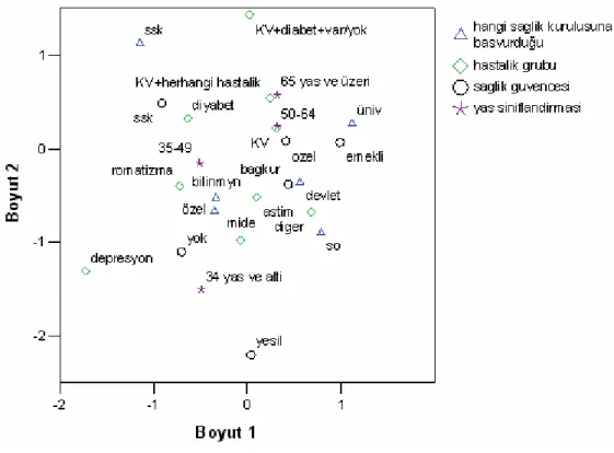Şekil 1. Çoklu Uygunluk Analizi Grafiği