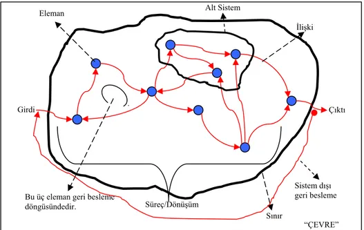 Şekil 2: Kompleks bir sistemin genel yapısı (Kaynak:  Flood ve Jackson, 1991) 