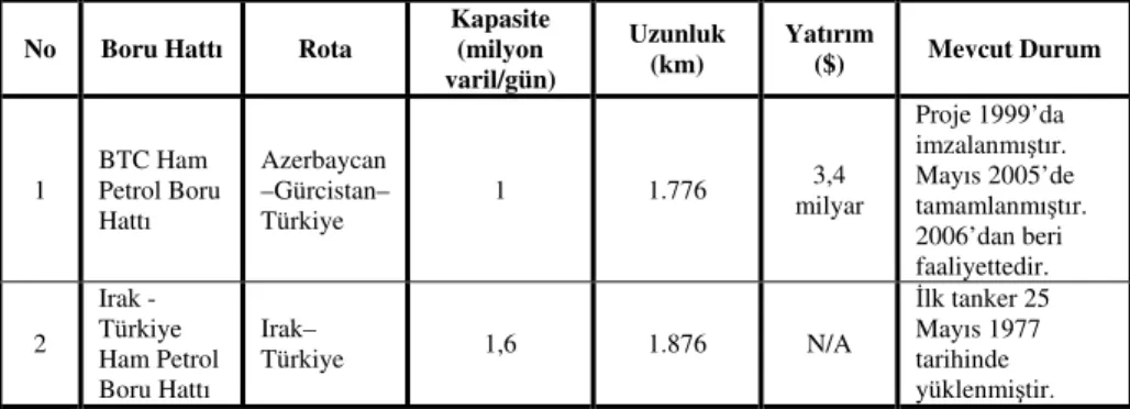 Tablo 6: Ceyhan Terminali için Ham Petrol Boru Hatlarının Genel Bilgileri  