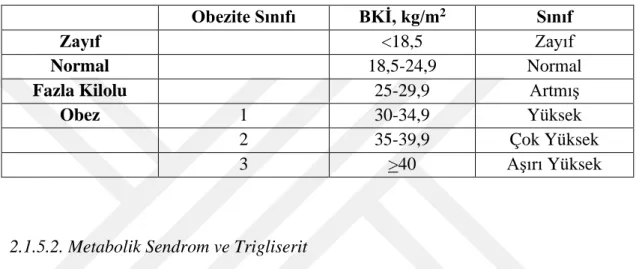 Tablo 2.2:Obezite Kilo Sınıflandırması 