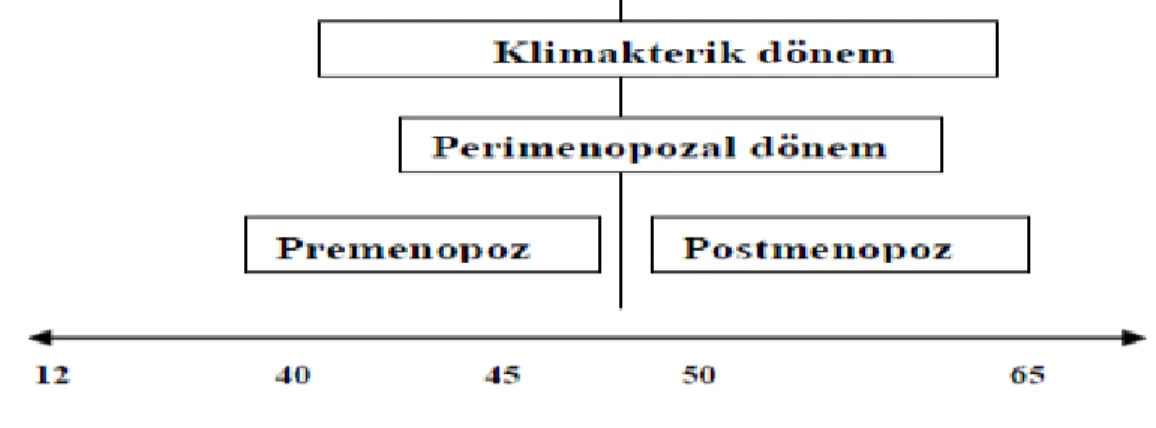 Şekil 1. Klimakterik dönem 