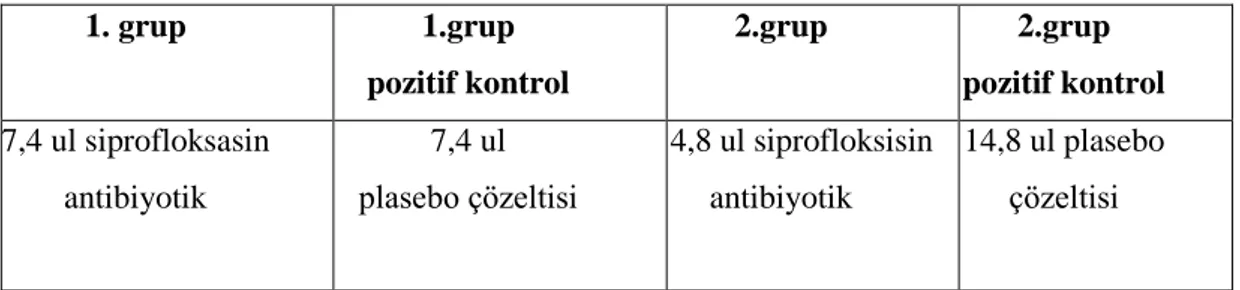 Tablo 3.1: Çalışma grubları.      