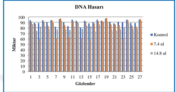 Şekil 4.7: Gözlemlere ilişkin DNA sağlamlık oranlarının histogramı. 