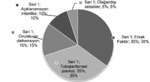 Şekil 1. Çiftlerde İnfertilite Sebepleri  Kaynak: Speroff, 2005 