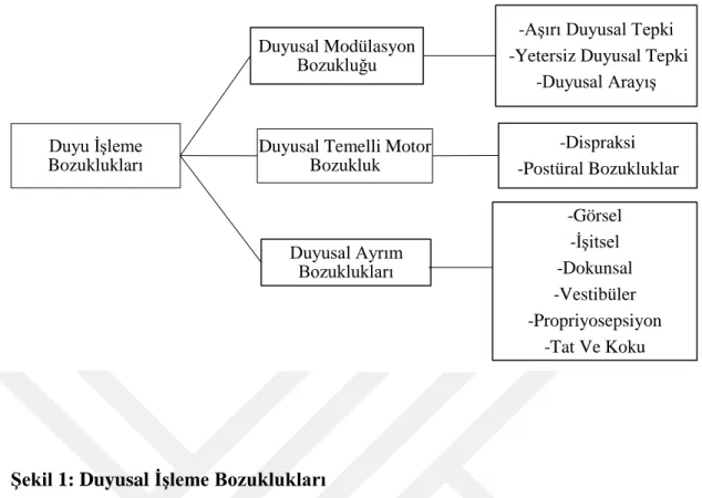 Şekil 1: Duyusal İşleme Bozuklukları 