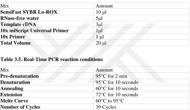 Table 3.4. Real-Time PCR mixture quantities 