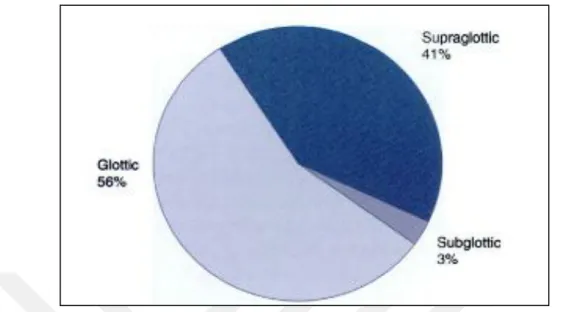 Figure  1.4  :  The  incidence  of  the  10  most  common  cancer  types  in  men  (the  incidence  at  100,000)