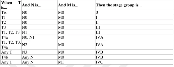 Table 1.1 : TNM staging of Cancer of the larynx in AJCC UICC 2017. Table is adapted  from(Poon et al., 2017) 