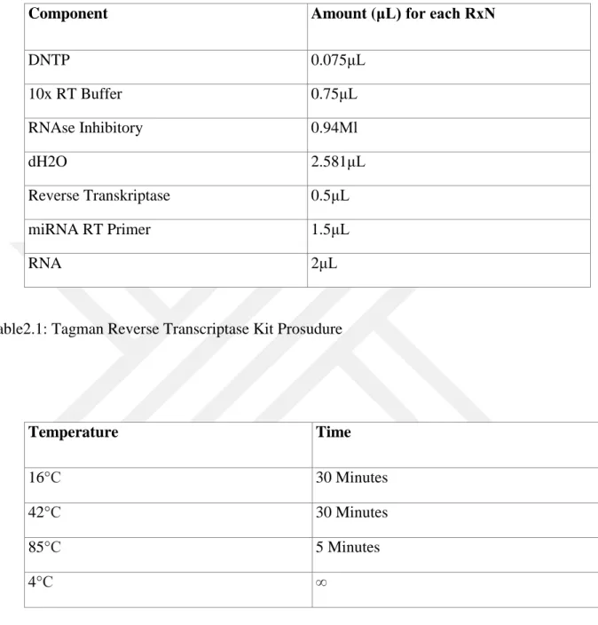 Table 2.2 : PCR Condition for cDNA Synthesis 