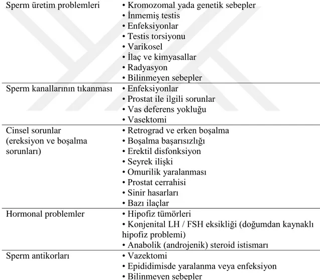 Tablo 1: Erkek infertilitesi sebepleri (Kolosnihov ve ark., 2015) Sperm üretim problemleri  • Kromozomal yada genetik sebepler 